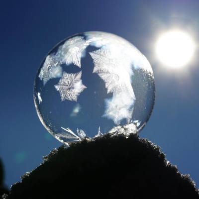 transparenzbericht 2025