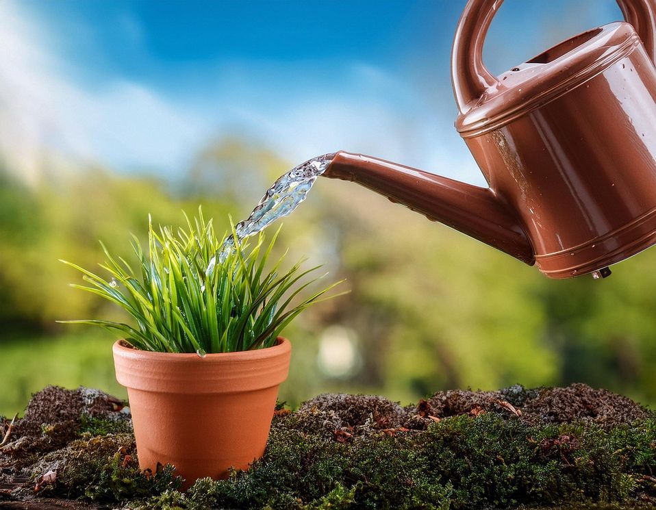 spotify fördert open-source-software