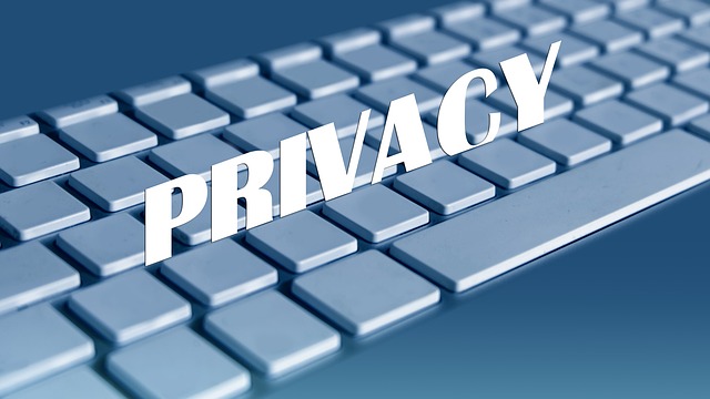 heute ist data privacy day