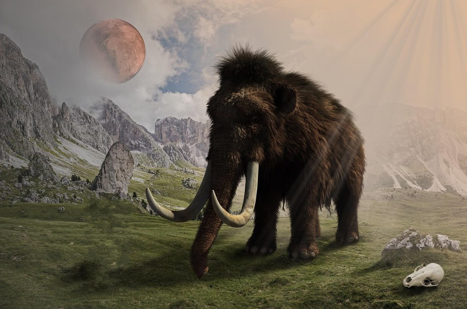 das mastodon verlässt den schweizer bund