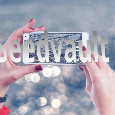 android-backup mit seedvault