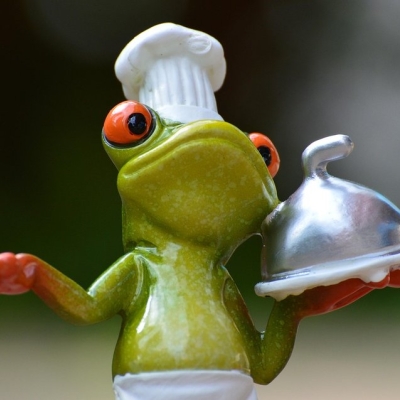 zum wochenende: den frosch kochen