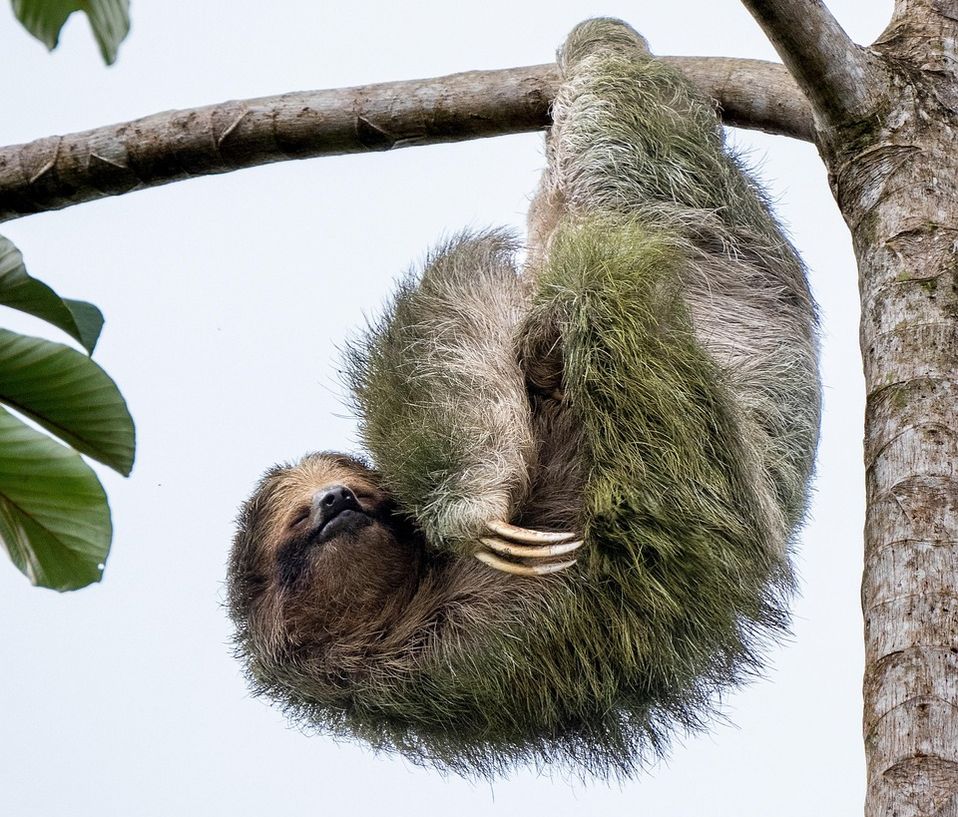 serie: ablenkungsfreies schreiben - weniger ist mehr