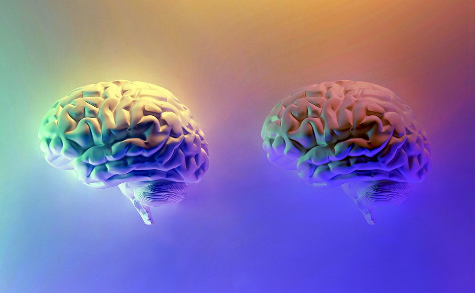 zum wochenende: brain to brain