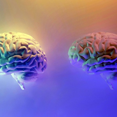 zum wochenende: brain to brain