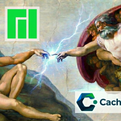 die schöne und das biest