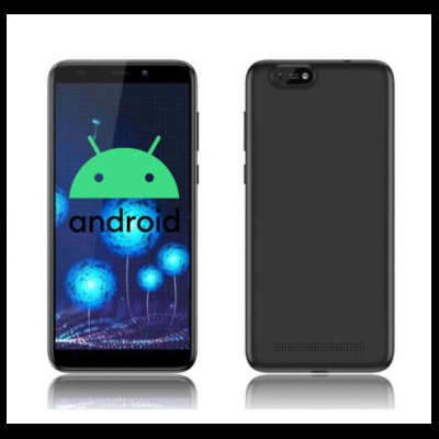 glodroid bringt android 10 auf das pinephone