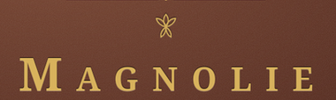 magnolia ist der nachfolger des lotus organizer