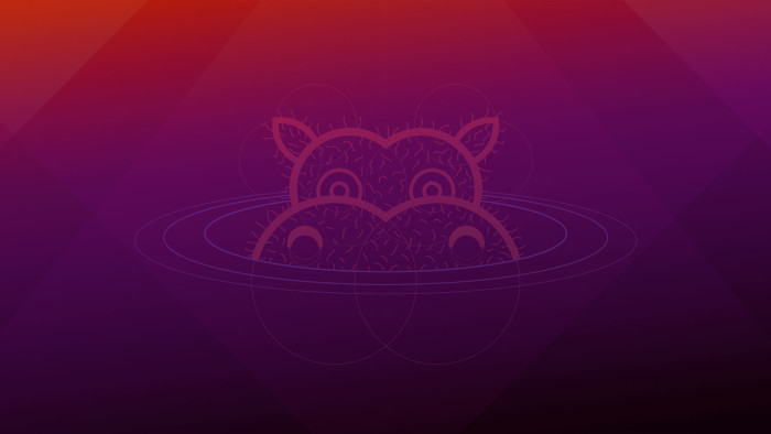 ubuntu 21.04 hirsute hippo veröffentlicht