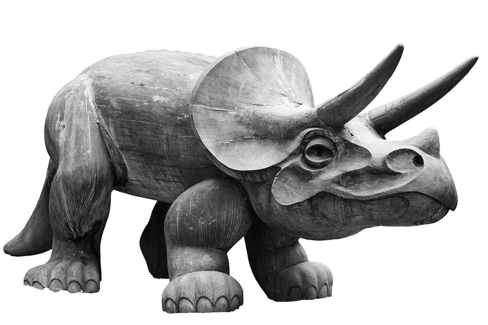 debian triceratops